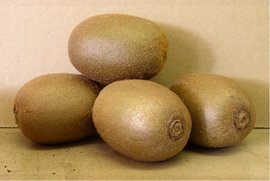 Kiwi velkoplod HAYWARD - samice