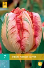 Malink RASPBERRY TOWER - erven, stleplodc