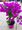 Bougainvilea na kmnku, P 14