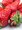 Jahodnk CLERY 6 ks - ran, frigo sadba