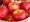 Sloupovit jablo HONEYCRISP - podno MM106 v kontejneru
