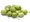 Kiwi arguta FRESH JUMBO - samice