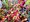 ilimnk - Cytisus JOHNSONS CRIMSON - rovoerven, C 1,5 l