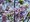 Paulownia tomentosa