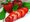 Jahodnk LAMBADA 12 ks - ran, frigo sadba