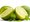 Mexická limetka - Citrus aurantifolia v květináči P20
