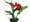 Dosna - Canna CANNOVA RED GOLDEN FLAME - erven se lutm okrajem