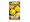 Osivo - Rajče tyčkové citronové CITRINA, žluté