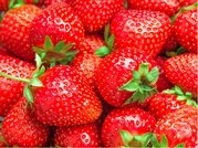 Jahodn�k SONSATION 6 ks - poloran�, frigo sadba