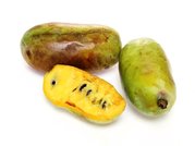 Asimina triloba OVERLEESE